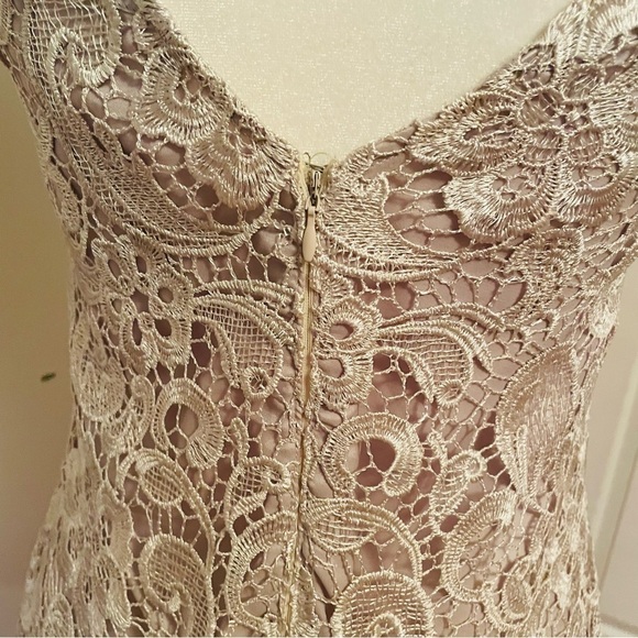 Francesca’s Lace Overlay Mini Dress – Silver/White, Elegant, Size Medium - Picture 8 of 13